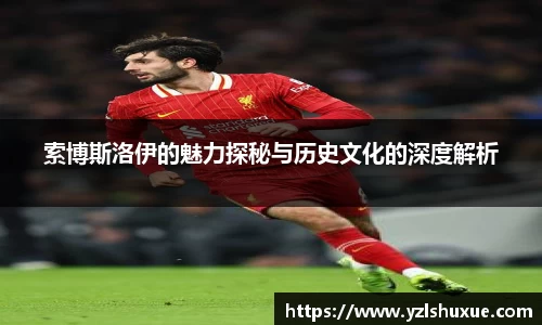 索博斯洛伊的魅力探秘与历史文化的深度解析