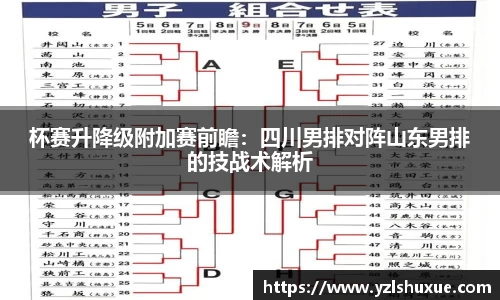 杯赛升降级附加赛前瞻：四川男排对阵山东男排的技战术解析