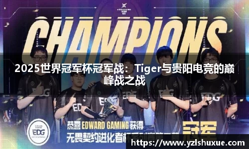 2025世界冠军杯冠军战：Tiger与贵阳电竞的巅峰战之战